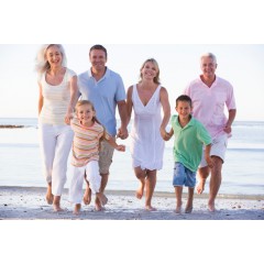 Основные свойства трутневого гомогената